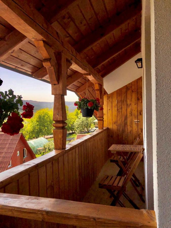 Pensiunea Roca Maramures Deseşti 外观 照片