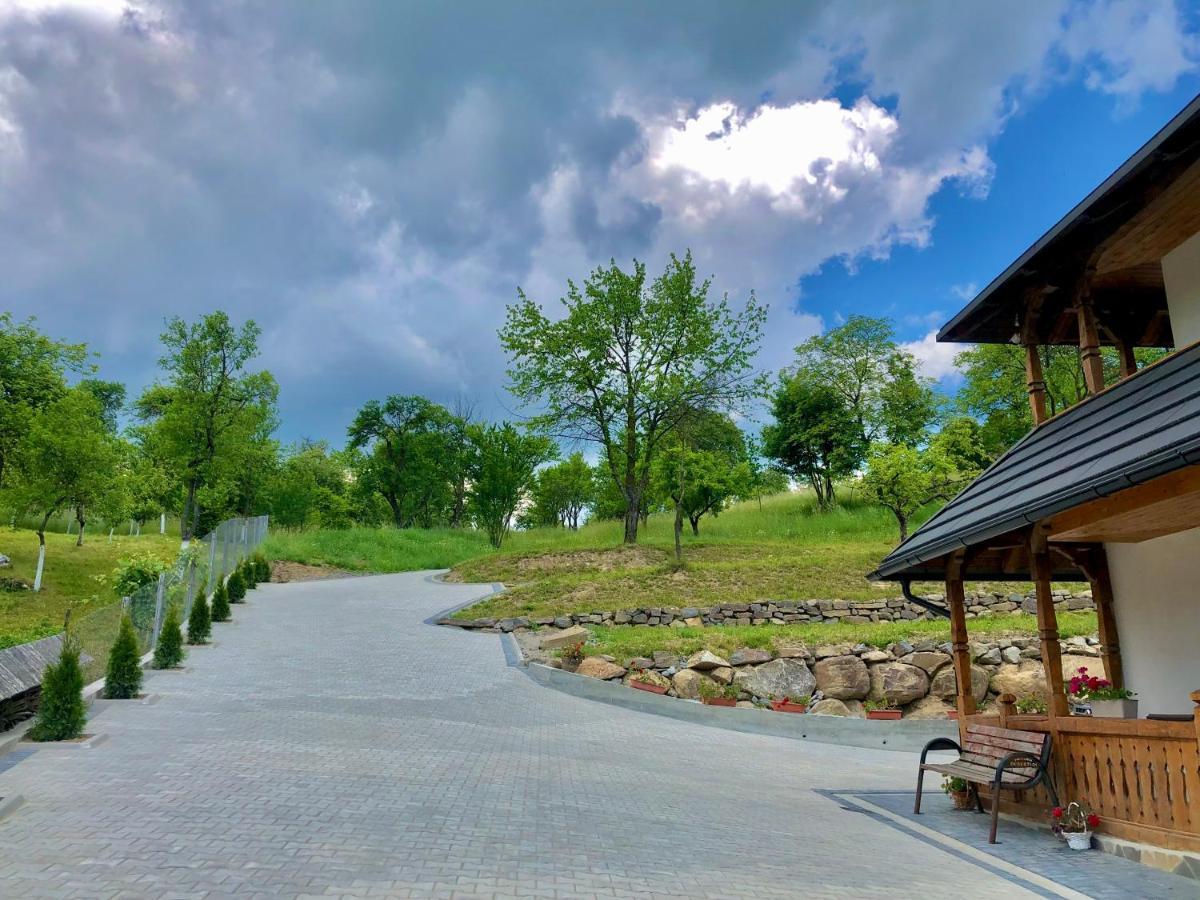 Pensiunea Roca Maramures Deseşti 外观 照片