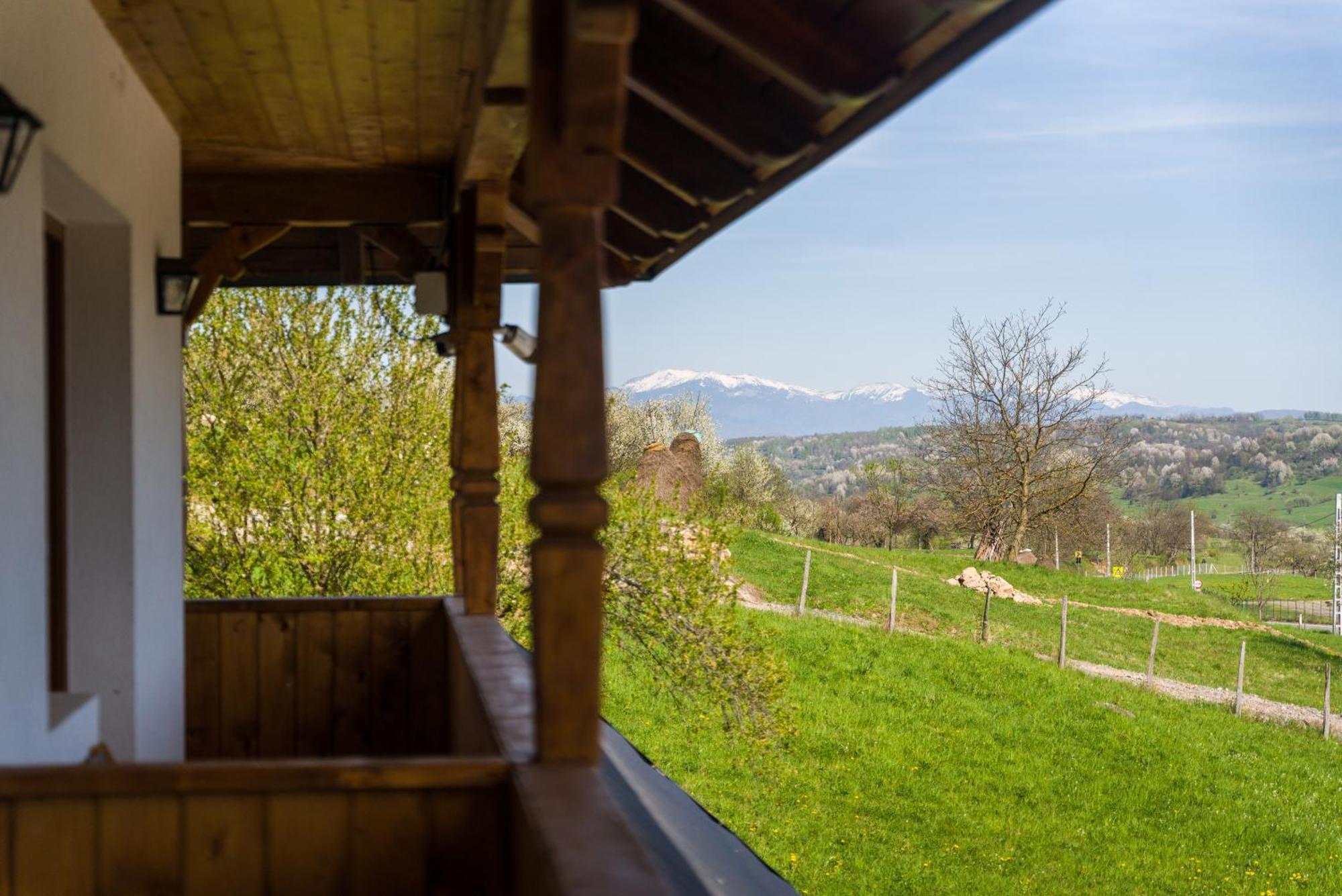 Pensiunea Roca Maramures Deseşti 外观 照片